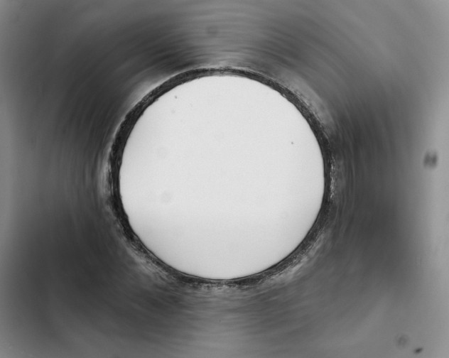 X0000102280876200808221302
