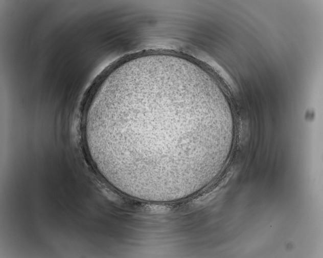 X0000102280878200808221302