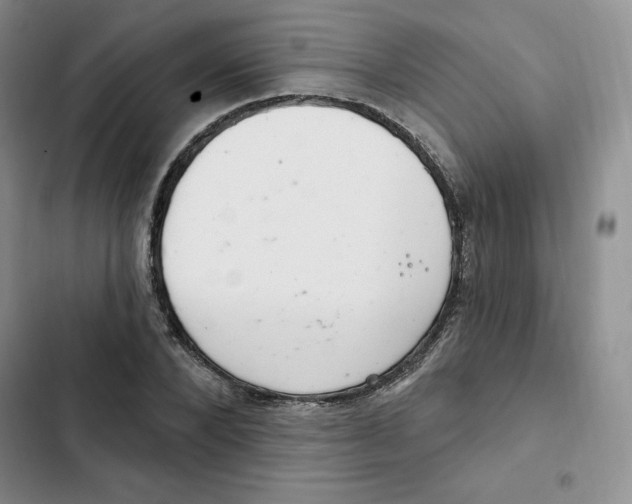X0000102280880200808221302