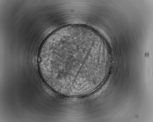 X0000102280881200808221302