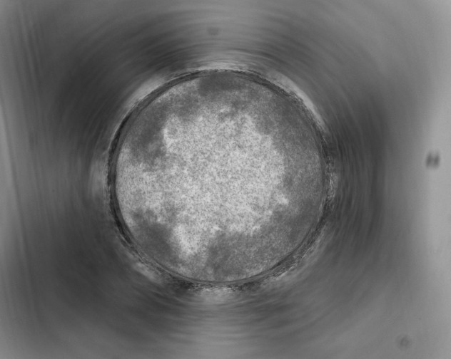 X0000102280882200808221302