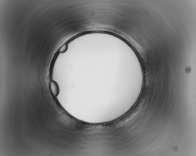 X0000102280885200808221302