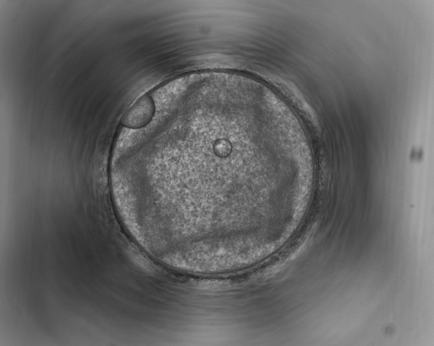X0000102280889200808221301