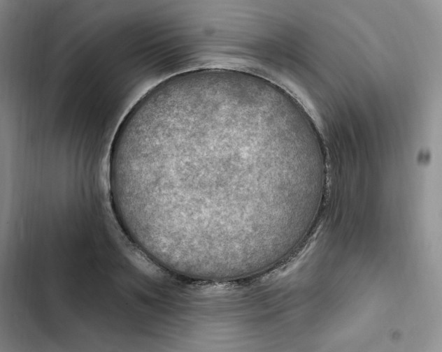 X0000102280891200808221301