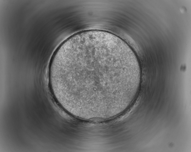 X0000102280892200808221301