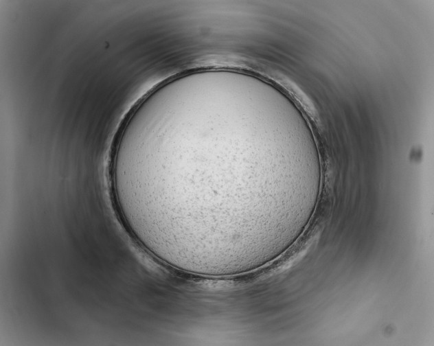 X0000102280893200808221301