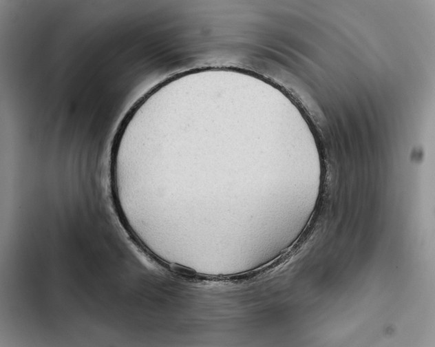 X0000102280894200808221301