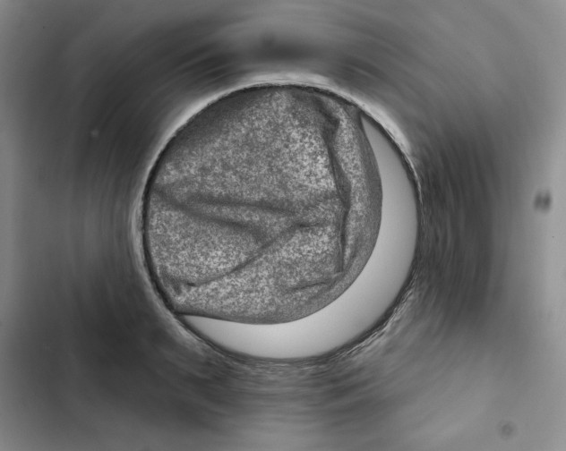 X0000102280895200808221301