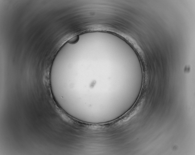 X0000102280897200808221301