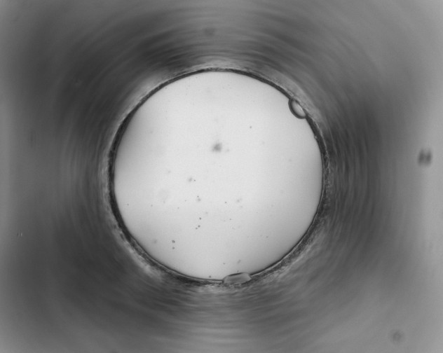 X0000102280898200808221301
