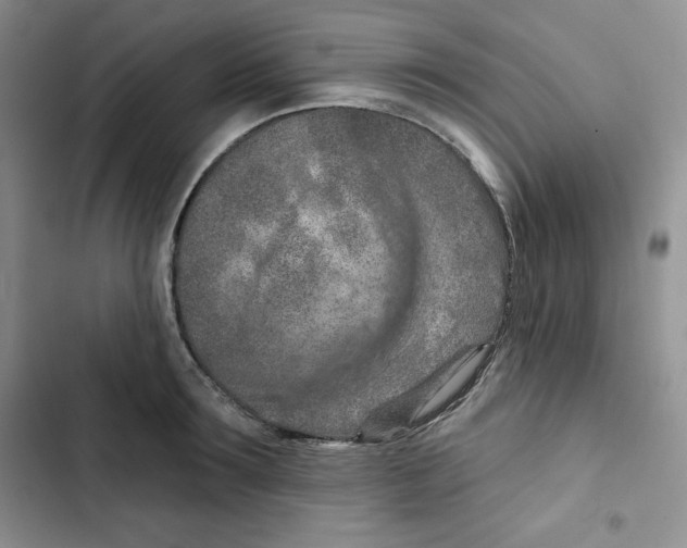 X0000102280899200808221301