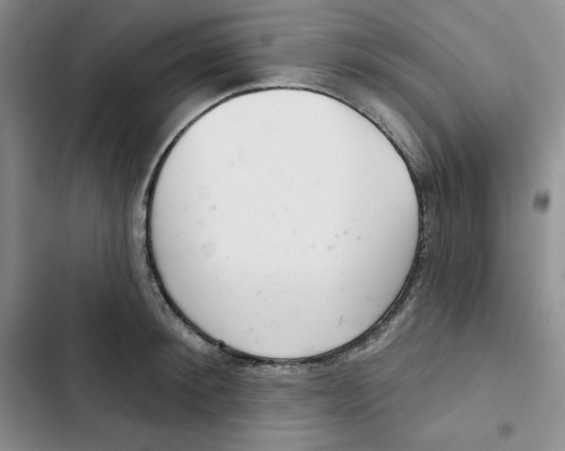 X0000102280900200808221301
