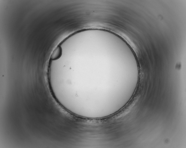 X0000102280901200808221301