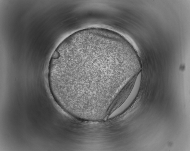 X0000102280903200808221301