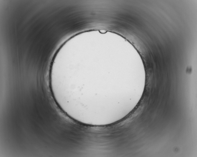 X0000102280904200808221301