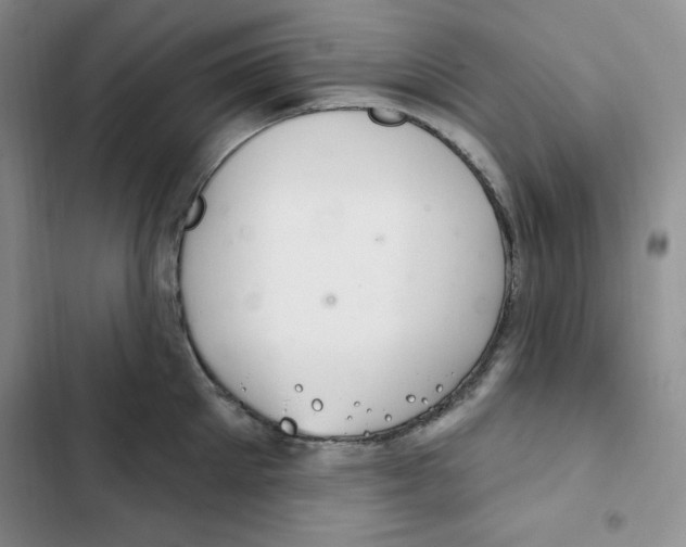 X0000102280905200808221301
