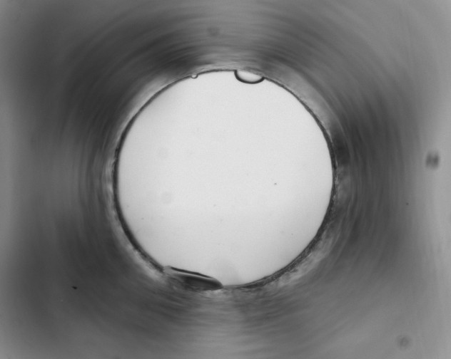 X0000102280906200808221301