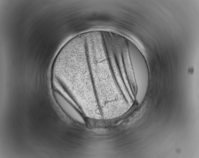 X0000102280907200808221301