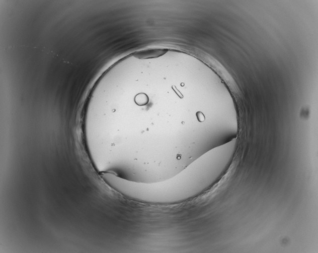 X0000102280908200808221301