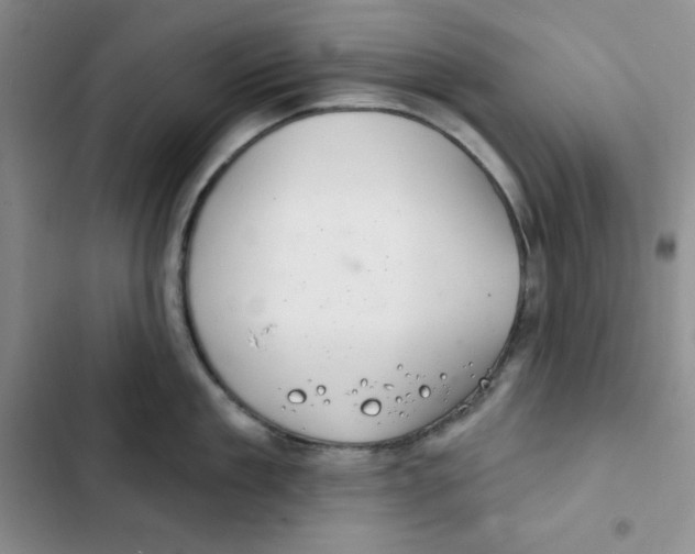 X0000102280909200808221301
