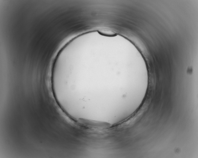 X0000102280910200808221301
