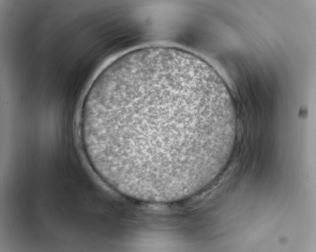 X0000102280911200808221301