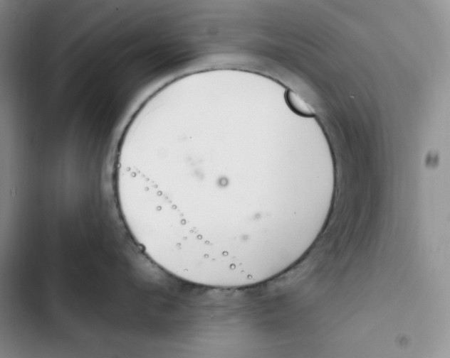 X0000102280912200808221301