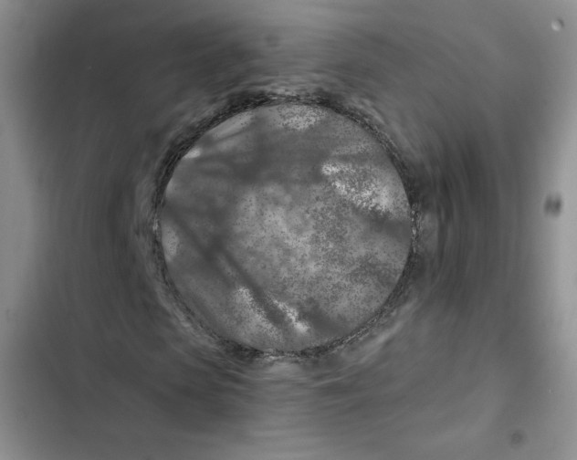 X0000102280913200808221300