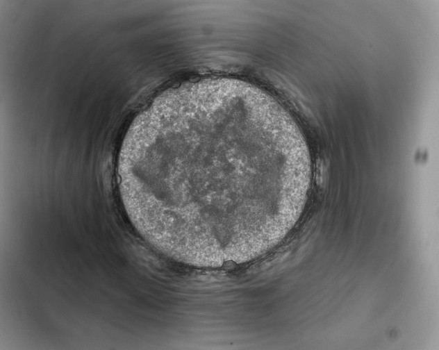 X0000102280915200808221300