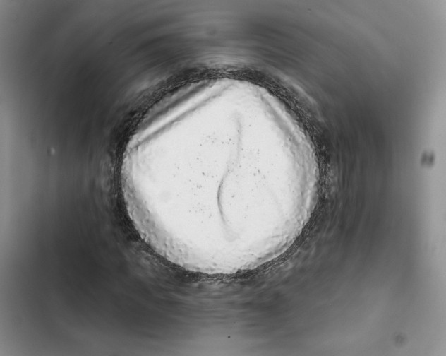 X0000102280917200808221300