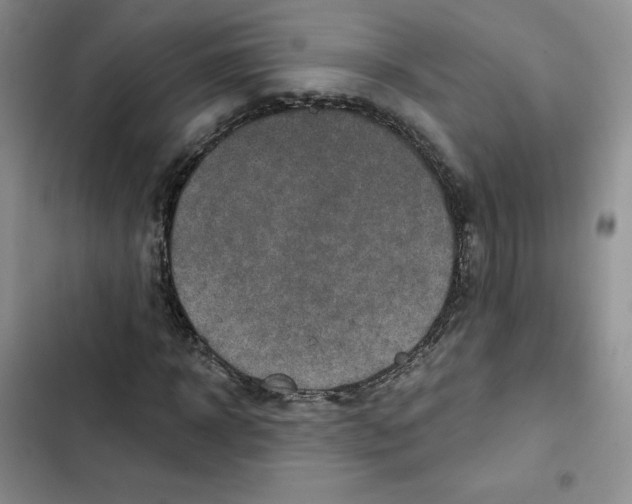X0000102280918200808221300
