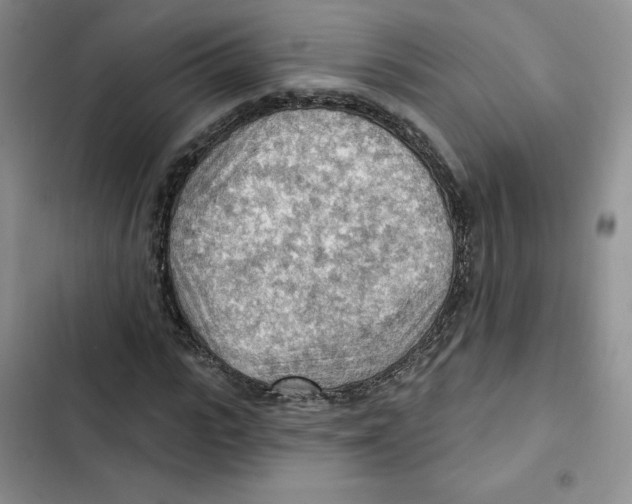 X0000102280919200808221300