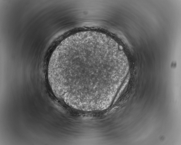X0000102280920200808221300