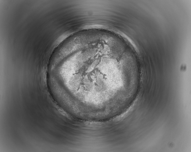 X0000102280921200808221300