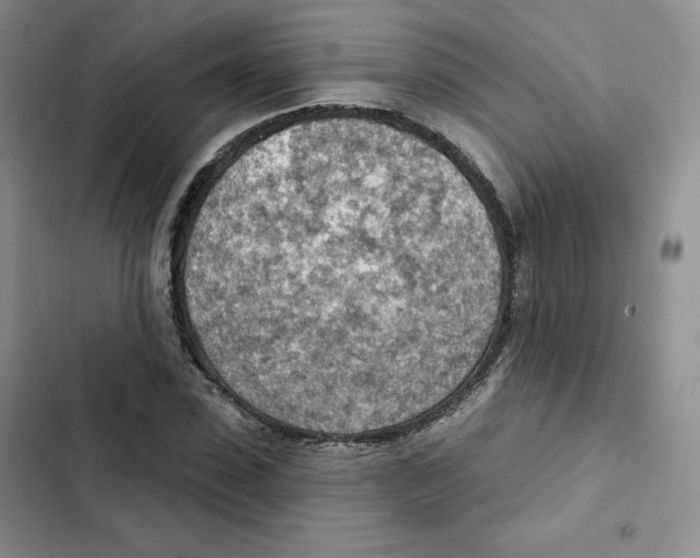X0000102280923200808221300