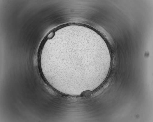 X0000102280924200808221300