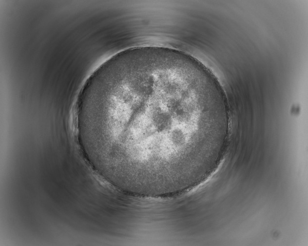 X0000102280925200808221300