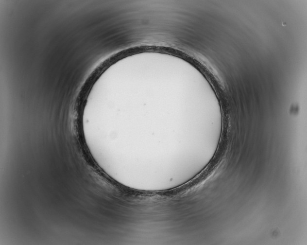 X0000102280926200808221300