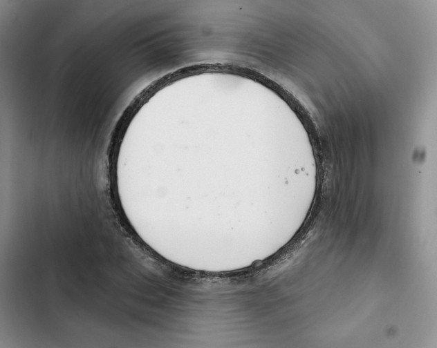 X0000102280927200808221300