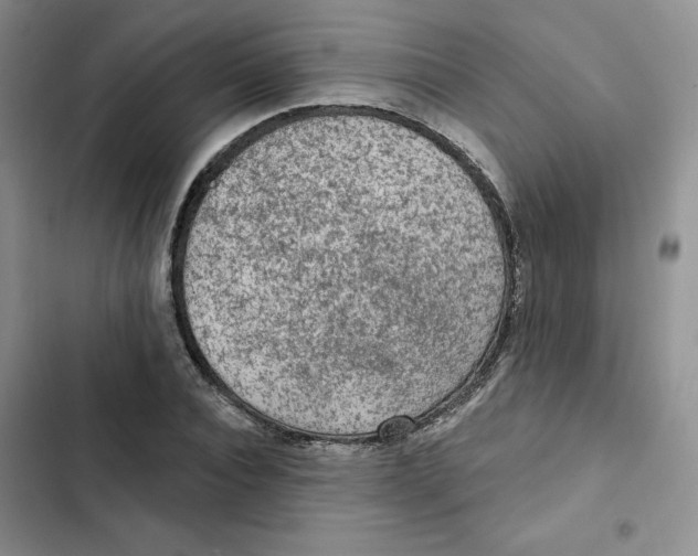 X0000102280928200808221300