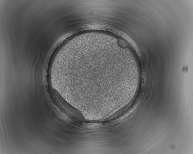 X0000102280930200808221300