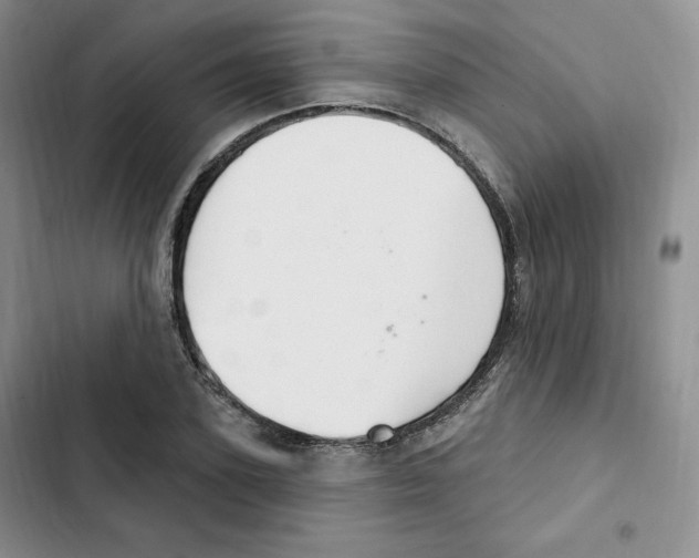 X0000102280931200808221300