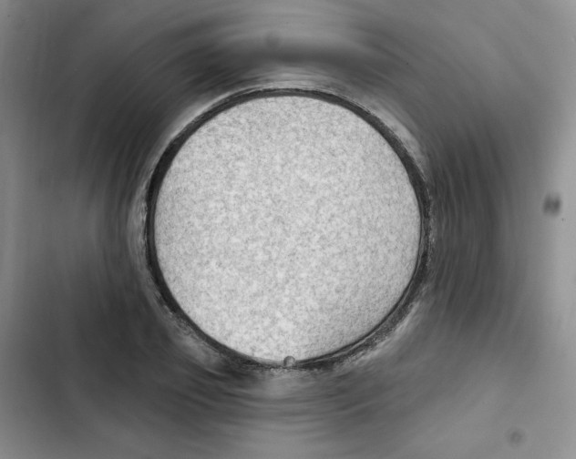 X0000102280933200808221300