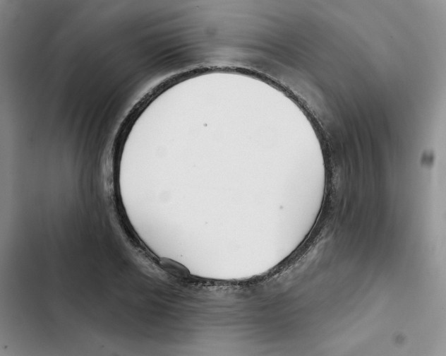 X0000102280934200808221300
