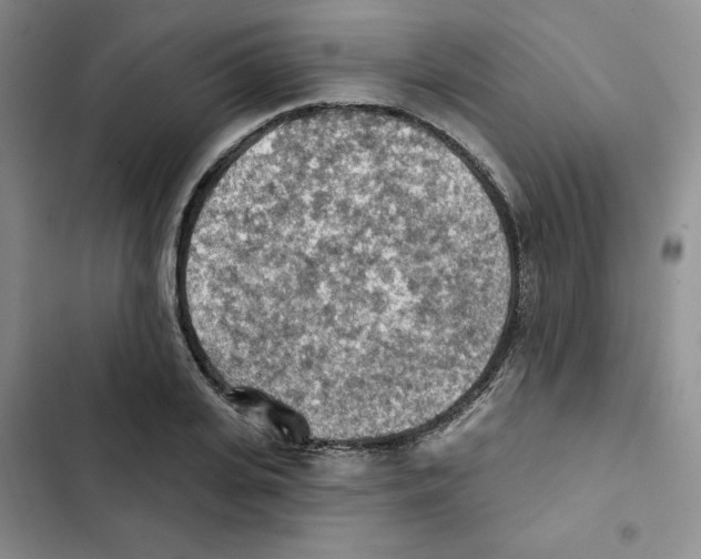 X0000102280935200808221300