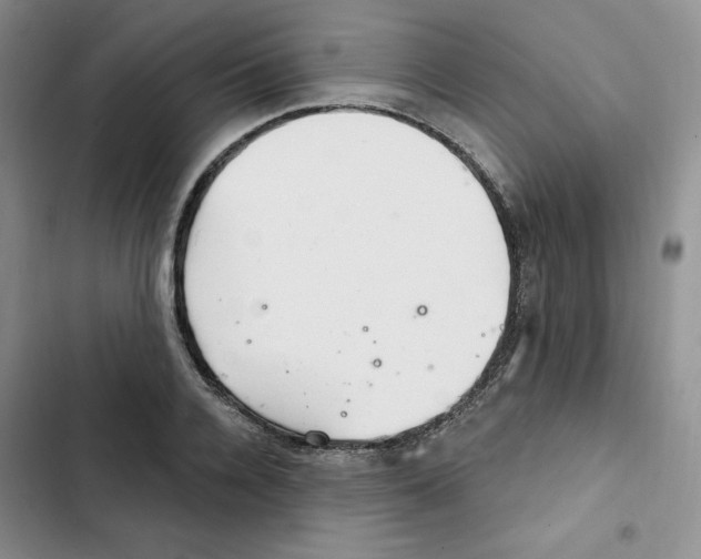 X0000102280936200808221300