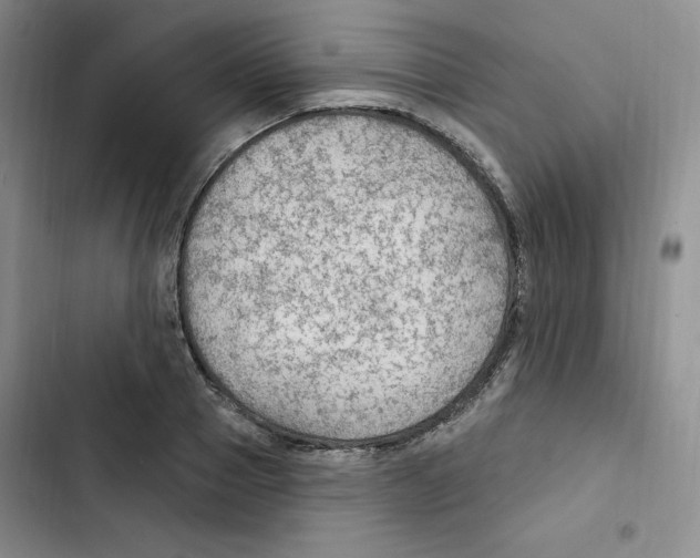 X0000102280937200808221300