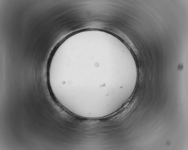 X0000102280939200808221301
