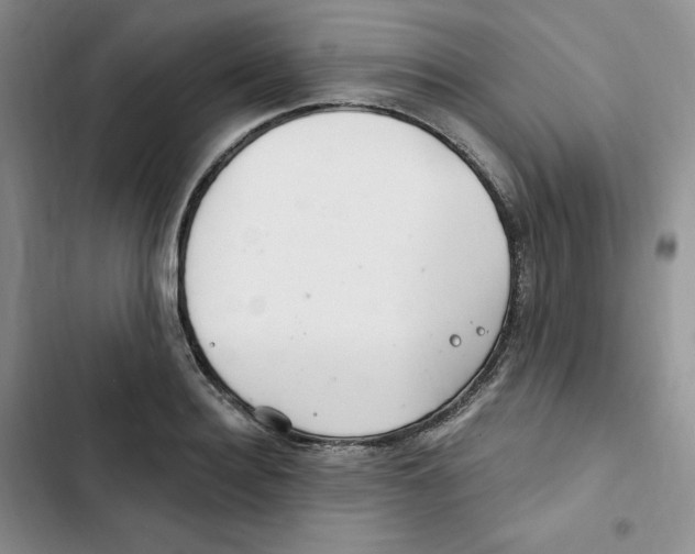 X0000102280940200808221301