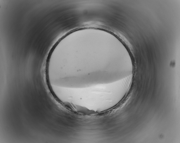 X0000102280941200808221301